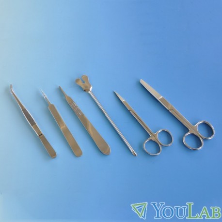Set cuillères et spatules en acier inoxydable - Scalpels - Ciseaux -  Trousse - Dissection - Prélèvement - Inox - Matériel de laboratoire